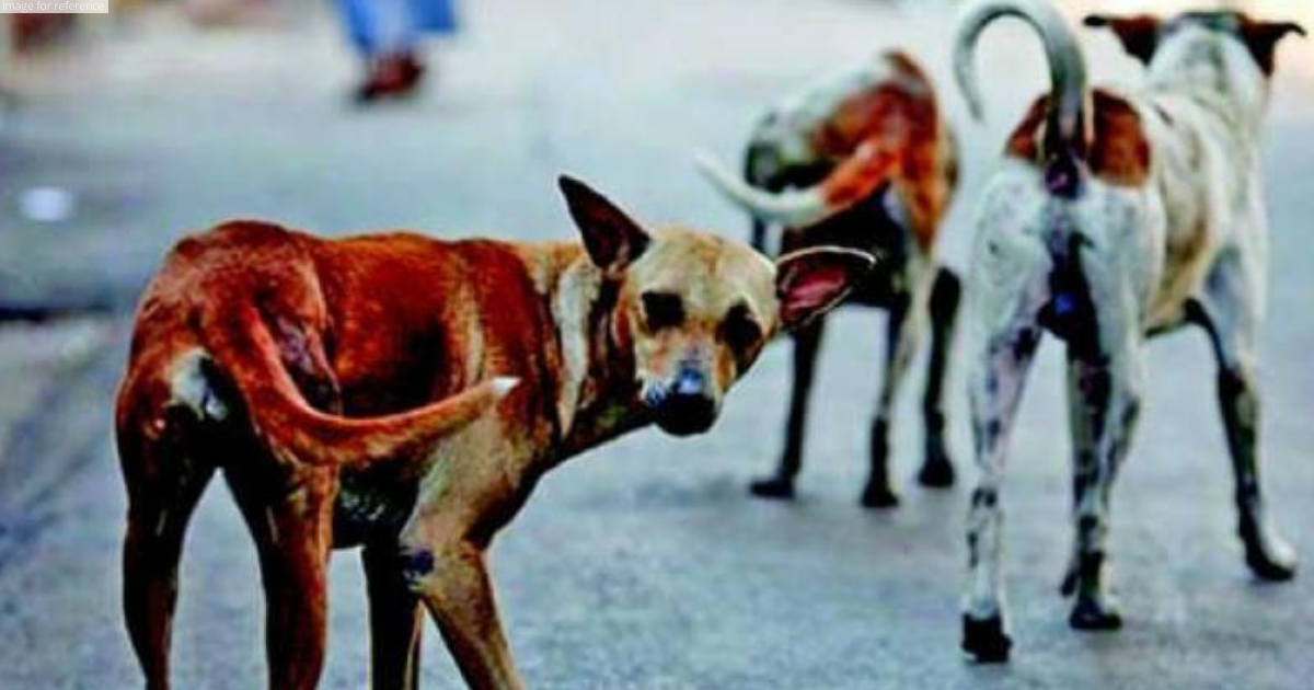 Kerala: Dog mauls 12-year-old girl to death